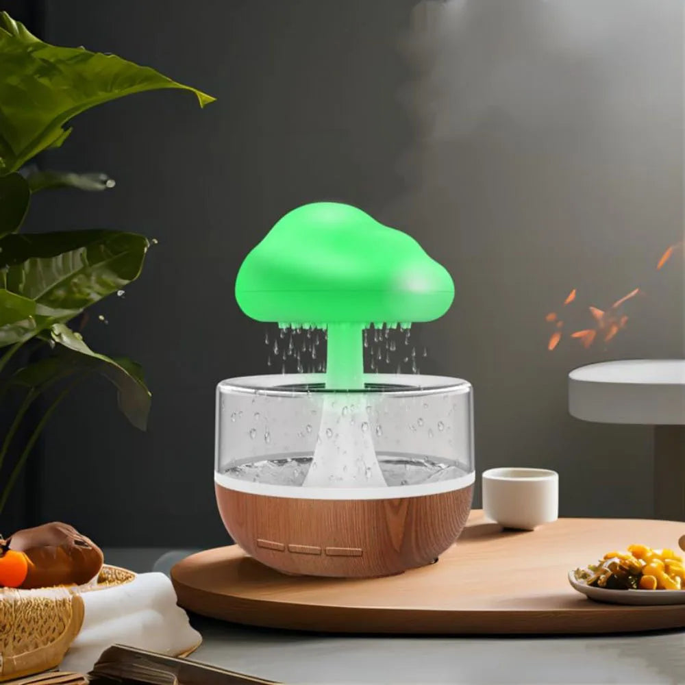 Raindrop Humidifier